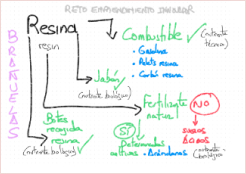 DISEÑO Y PROTOTIPO DEL PRIMER PRODUCTO DE RESINA RECICLABLE, PARA USO POR OTRAS INDUSTRIAS.